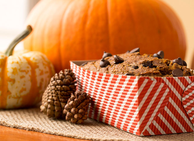 sarahs pumpkin chocolate chip loaf