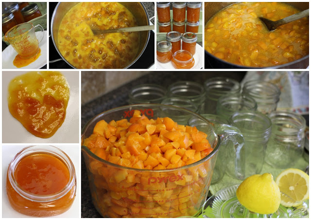 apricot jam