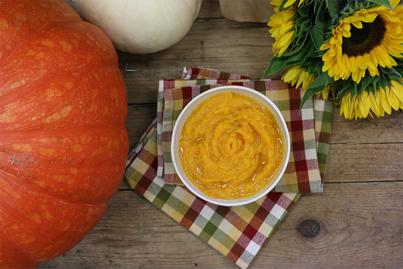 pumpkinpuree-sept2016-lk-lowres