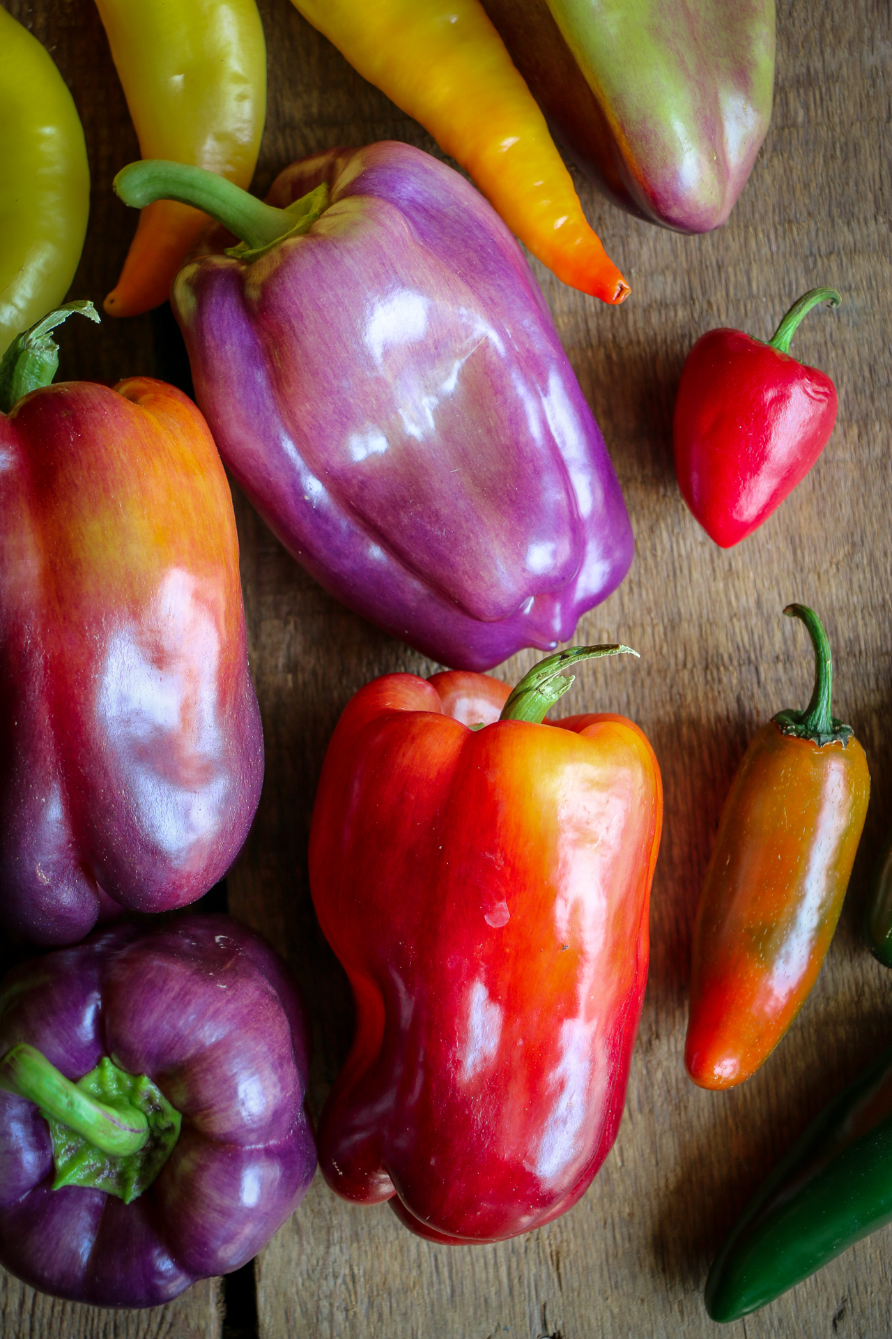 Okanagan Field Peppers