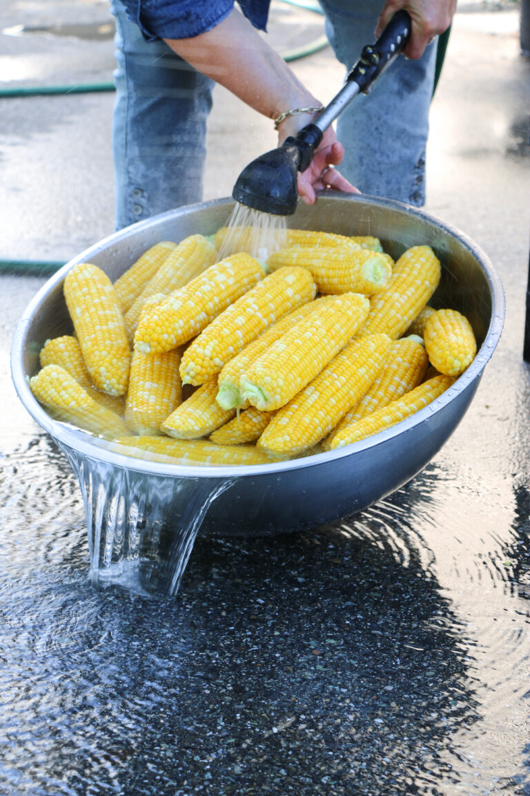 How to Freeze Corn for the Winter